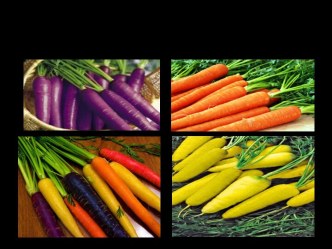 prezentatsiya morkov chast 2