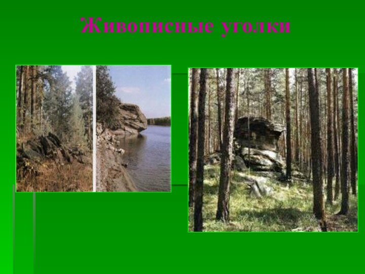 Живописные уголки