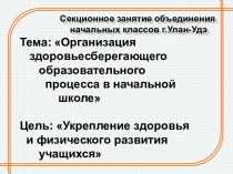 Выступление на секционном занятии объединения начальных классов Организация здоровьесберегающего образовательного процесса в начальной школе презентация к уроку по теме