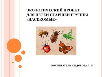 Проект Насекомые в старшей группе проект по окружающему миру (старшая группа)