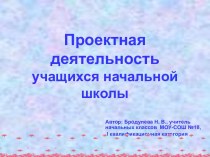 Презентация Проектная деятельность учащихся начальной школы презентация к уроку