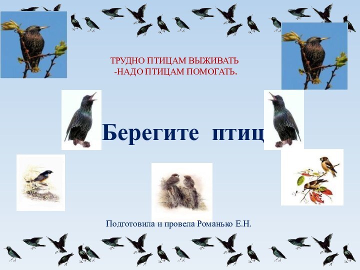 ТРУДНО ПТИЦАМ ВЫЖИВАТЬ -НАДО ПТИЦАМ ПОМОГАТЬ.Берегите птиц!Подготовила и провела Романько Е.Н.