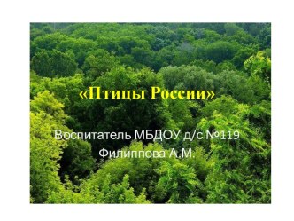 мультимедиа презентация Птицы России презентация к занятию по окружающему миру (подготовительная группа)