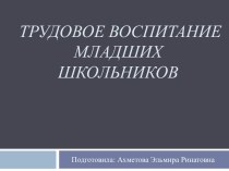 Выпускная квалификационная работа Трудовое воспитание младших школьников проект