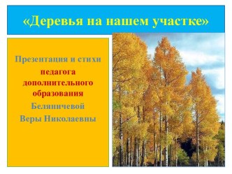 Презентация для дошкольников старшего дошкольного возраста Деревья на нашем участке методическая разработка по окружающему миру (старшая группа)