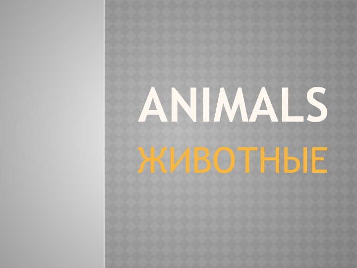 ANIMALSЖИВОТНЫЕ