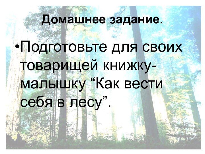 Домашнее задание.Подготовьте для своих товарищей книжку- малышку “Как вести себя в лесу”.