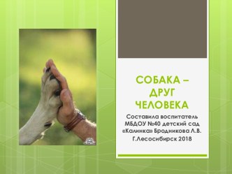 презентация Собака - друг человека презентация