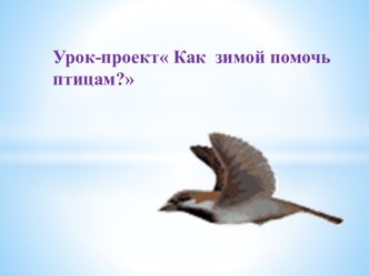 Урок-проект Покорми птиц зимой. презентация к уроку по окружающему миру (2 класс) по теме