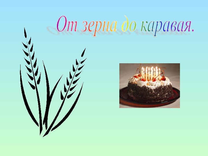 От зерна до каравая.