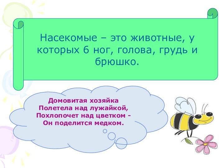 Насекомые – это животные, у которых 6 ног, голова, грудь и брюшко.Домовитая