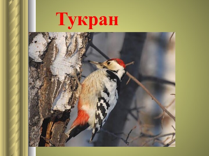 Тукран