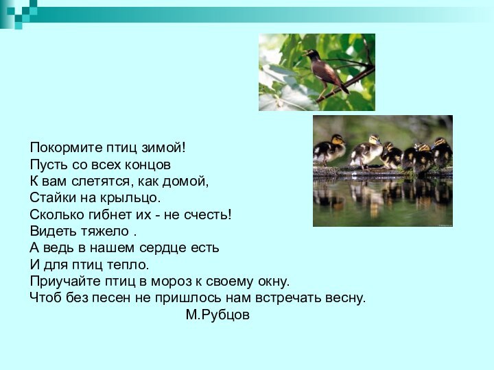 Покормите птиц зимой!Пусть со всех концовК вам слетятся, как домой,Стайки на крыльцо.Сколько