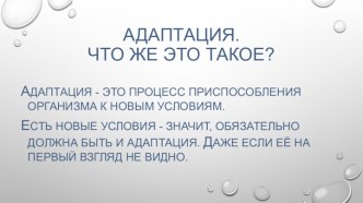 Успешная адаптация к дошкольному отделению. презентация по теме
