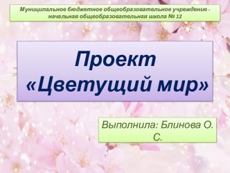 Проект Цветущий мир проект по окружающему миру (средняя, старшая группа)