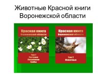 Презентация Животные Красной книги Воронежской области презентация к уроку по окружающему миру (старшая, подготовительная группа)