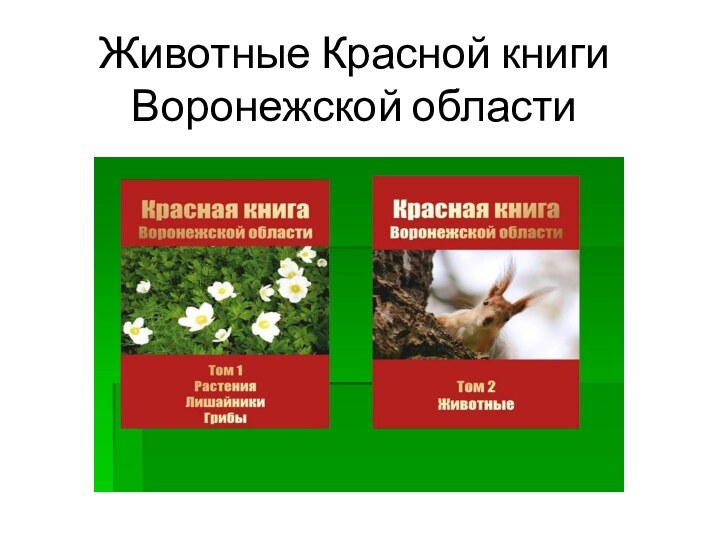 Животные Красной книги Воронежской области