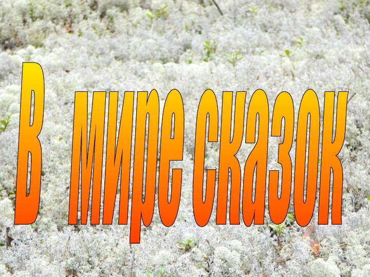 В  мире сказок