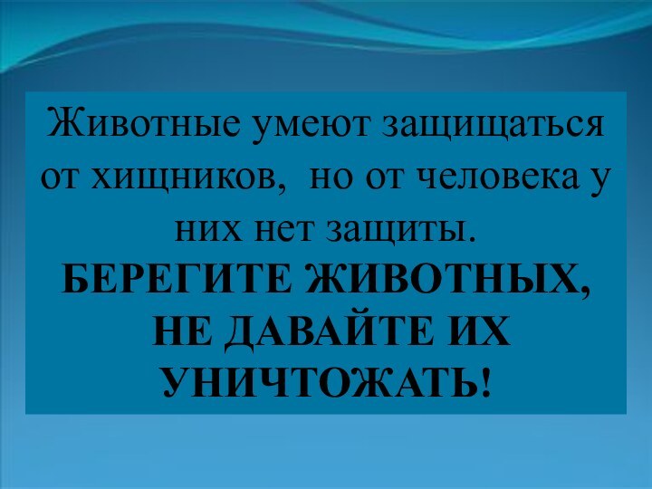 Животные умеют защищаться от хищников, но от человека у них нет защиты.БЕРЕГИТЕ