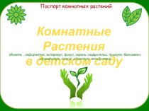 Презентация Комнатные Растения в детском саду презентация к уроку по окружающему миру (старшая группа)