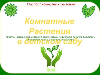 Презентация Комнатные Растения в детском саду презентация к уроку по окружающему миру (старшая группа)