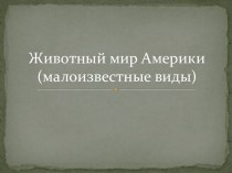 Презентация Животные Америки( малоизвестные виды). презентация к уроку по окружающему миру (2 класс)