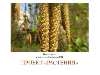 Проект Растения презентация к уроку (подготовительная группа)