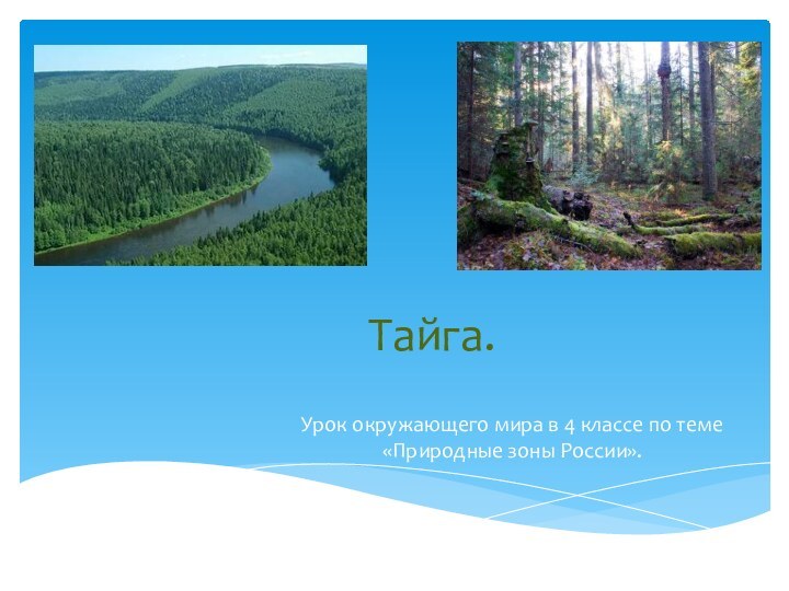 Тайга.Урок окружающего мира в 4 классе по теме «Природные зоны России».