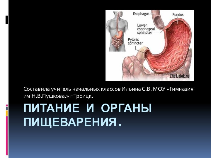 ПИТАНИЕ И ОРГАНЫ ПИЩЕВАРЕНИЯ.Составила учитель начальных классов Ильина С.В. МОУ «Гимназия им.Н.В.Пушкова.» г.Троицк.