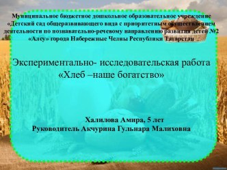 Экспериментально-исследовательская деятельность Хлеб- наше богатство презентация к уроку по окружающему миру (средняя группа)