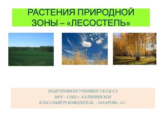 Презентация Лесостепь презентация к уроку по окружающему миру (3 класс) по теме