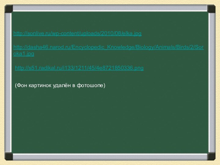 http://sonlive.ru/wp-content/uploads/2010/08/elka.jpghttp://dasha46.narod.ru/Encyclopedic_Knowledge/Biology/Animals/Birds/2/Soroka1.jpghttp://s51.radikal.ru/i133/1211/45/4e8721850336.png(Фон картинок удалён в фотошопе)