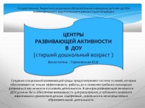 ЦЕНТРЫ РАЗВИВАЮЩЕЙ АКТИВНОСТИ.Старший дошкольный возраст презентация к уроку (старшая группа)