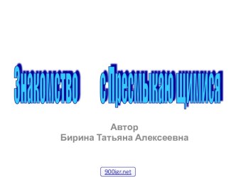 Презентация Пресмыкающиеся презентация к уроку по окружающему миру (подготовительная группа)