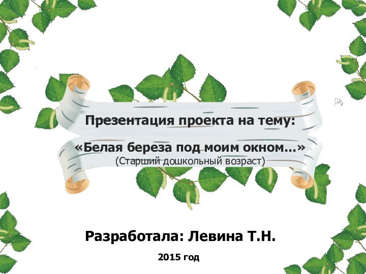 «Белая береза под моим окном…»(Старший дошкольный возраст)Разработала: Левина Т.Н. Презентация проекта на тему:2015 год