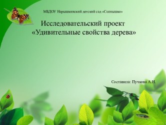 Исследовательский проект Удивительные свойства дерева материал