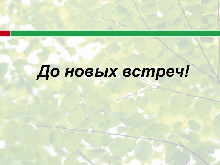 До новых встреч!