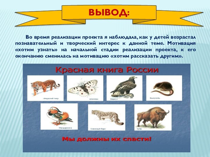 Во время реализации проекта я наблюдала, как у детей возрастал познавательный и