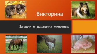 Викторина Домашние животные презентация урока для интерактивной доски по развитию речи (старшая группа)