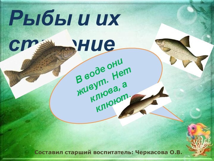 Рыбы и их строениеВ воде они живут. Нет клюва, а клюют. Составил старший воспитатель: Черкасова О.В.