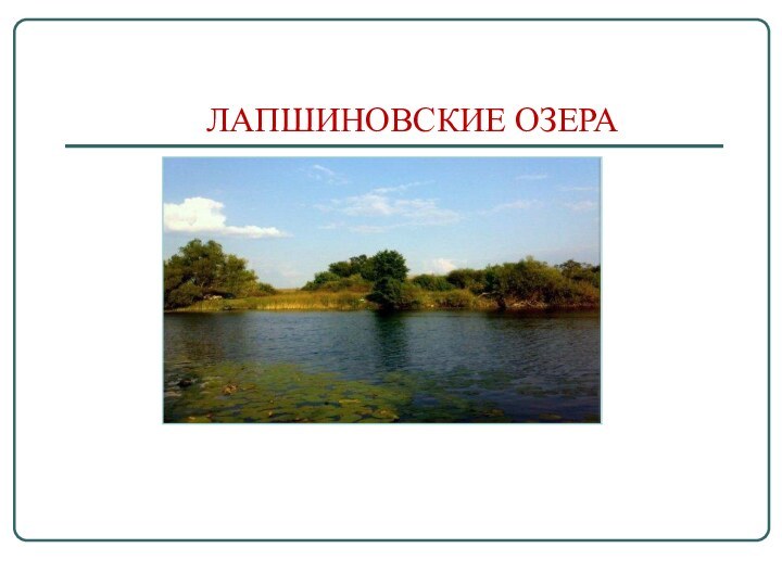 ЛАПШИНОВСКИЕ ОЗЕРА