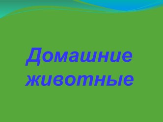 Домашние животные и птицы презентация к занятию (подготовительная группа)