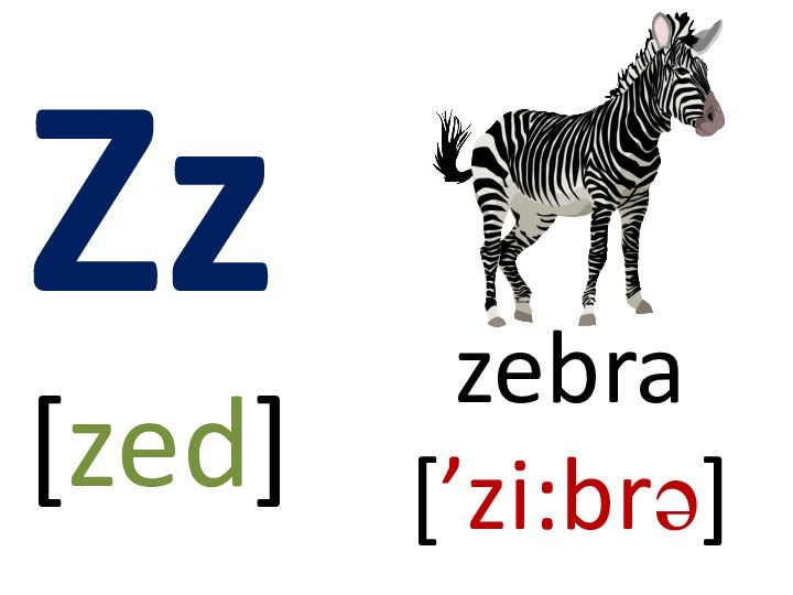 Zz	[zed]					zebra[’zi:brə]