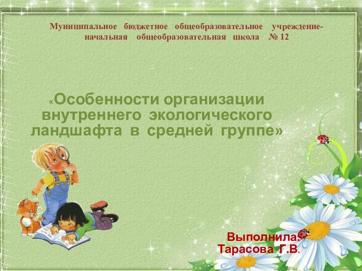 Муниципальное бюджетное образовательное учреждение – начальная общеобразовательная школа №12«Особенности организации внутреннего