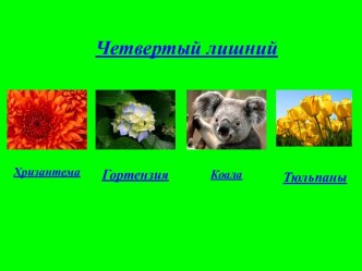 Игра Четвертый лишний методическая разработка (старшая группа)