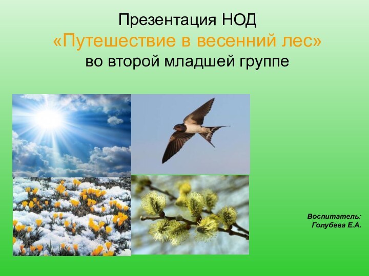 Воспитатель: Голубева Е.А. Презентация НОД«Путешествие в весенний лес»во второй младшей группе