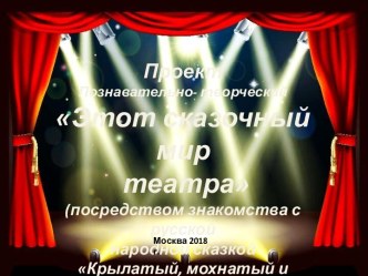 проект проект (старшая группа)