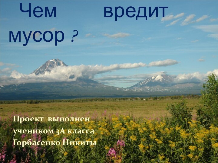 Проект выполненучеником 3А классаГорбасенко Никиты	Чем вредит мусор ?