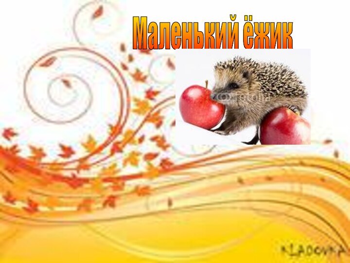 Маленький ёжик