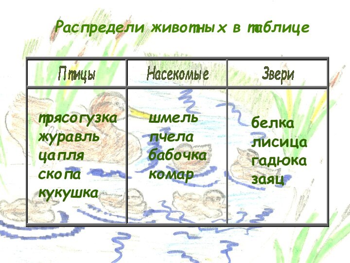 Распредели животных в таблицетрясогузкажуравльцапляскопакукушкашмельпчелабабочкакомарбелкалисицагадюказаяц